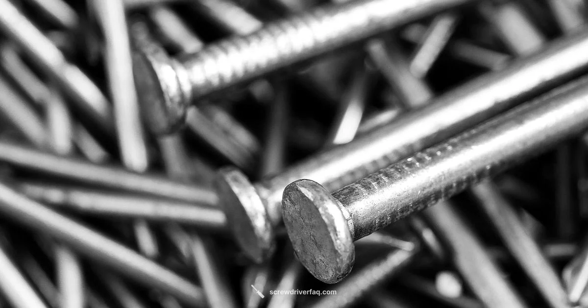 Top Screwdriver Set 2026 - Screwdriver FAQ