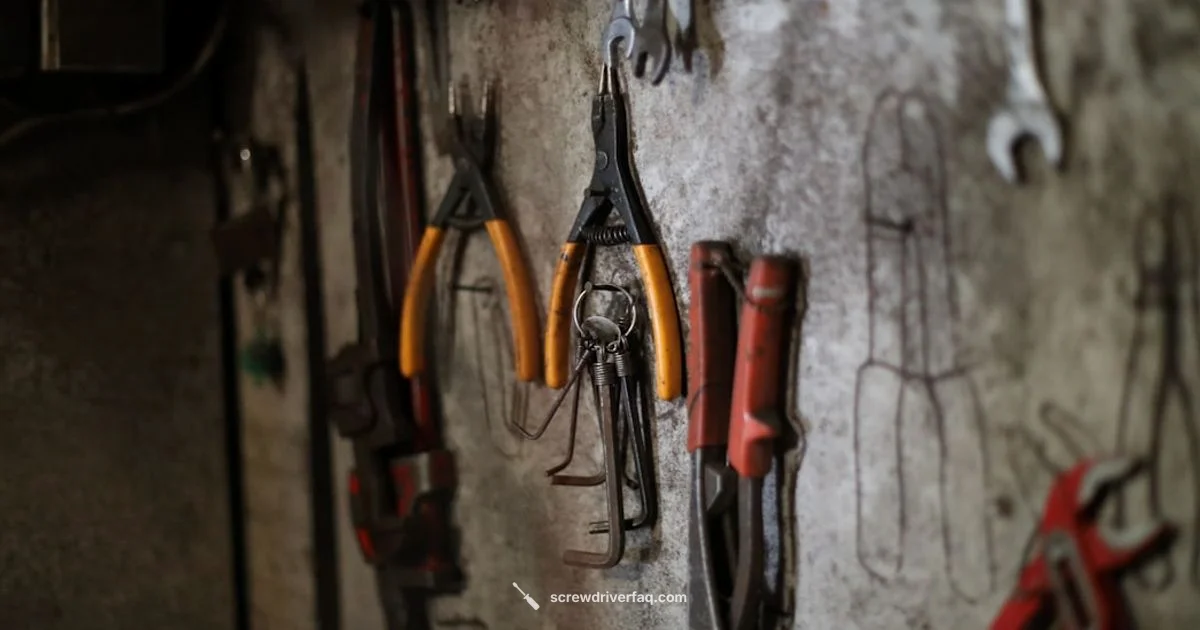 Magnetic Set in Case - Screwdriver FAQ