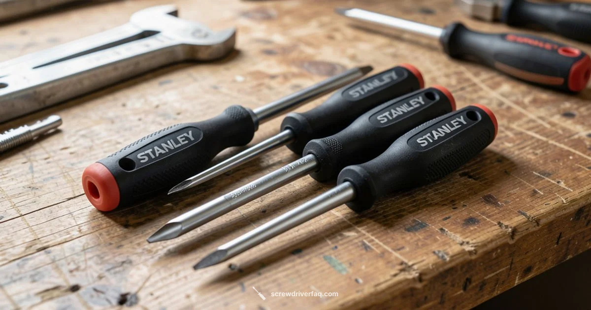 Stanley Insulated Set - Screwdriver FAQ