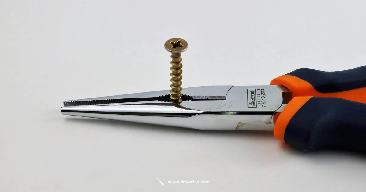 Flat-head Mastery - Screwdriver FAQ