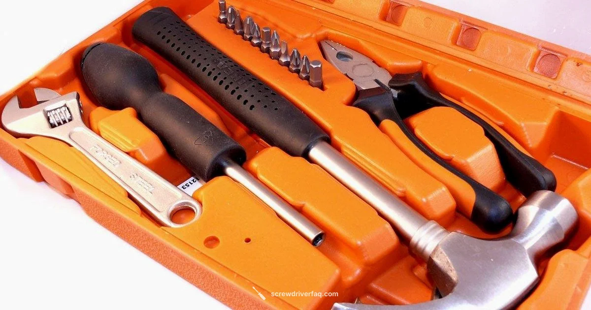 Screwdriver Bits Guide - Screwdriver FAQ