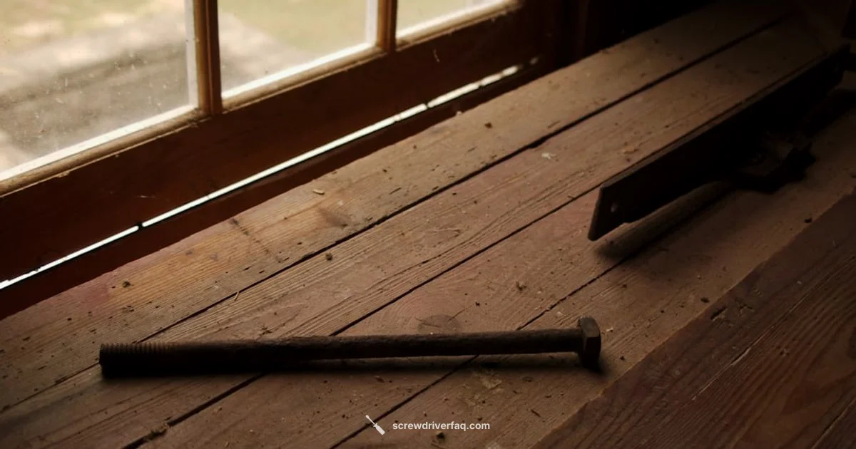 Screwdriver Set and Stand - Screwdriver FAQ