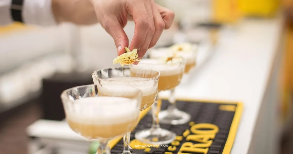 Classic Screwdriver - Screwdriver FAQ