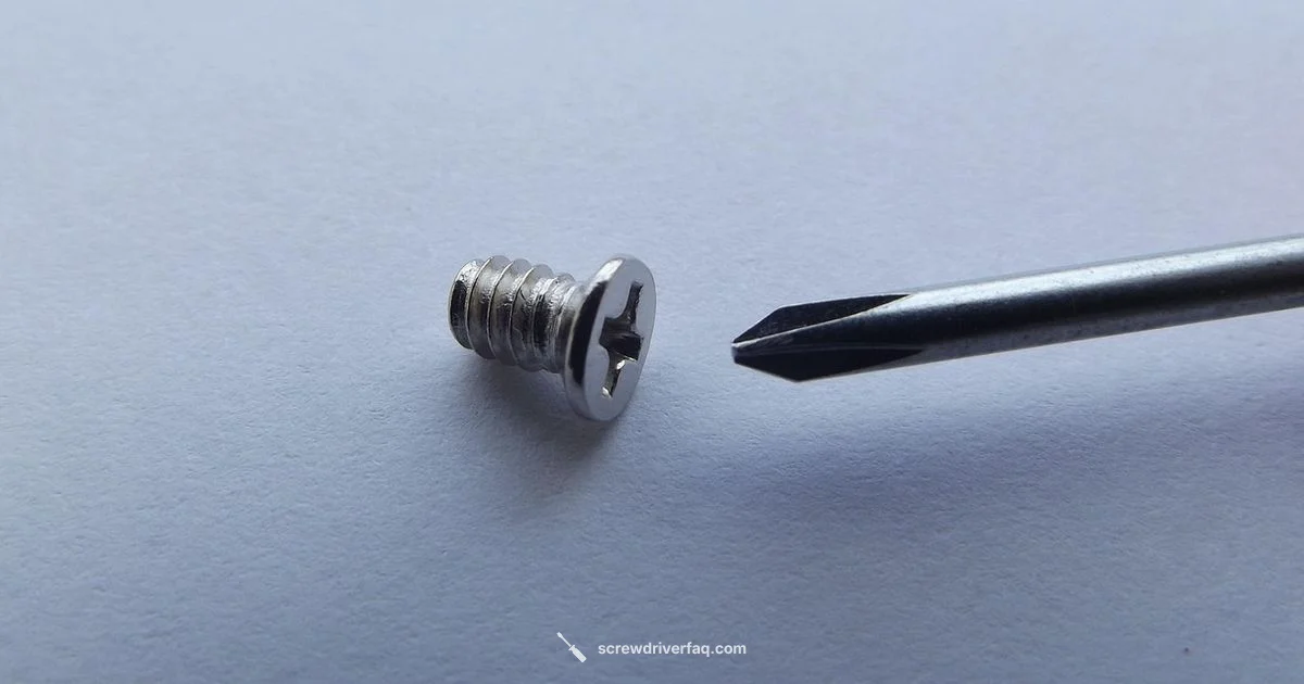 Screwdriver Travel - Screwdriver FAQ