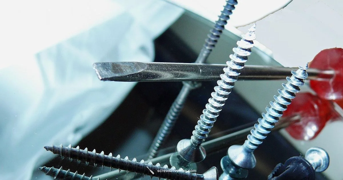 Torque Screwdriver - Screwdriver FAQ