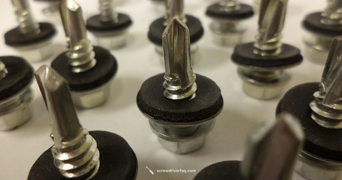 Screwdriver Repair Screwdriver Repair - Screwdriver FAQ