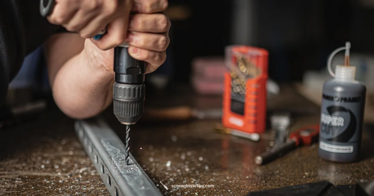 Precision Torque Driver Precision Torque Driver - Screwdriver FAQ