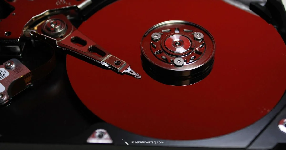 Hard Disk Screwdriver Guide - Screwdriver FAQ