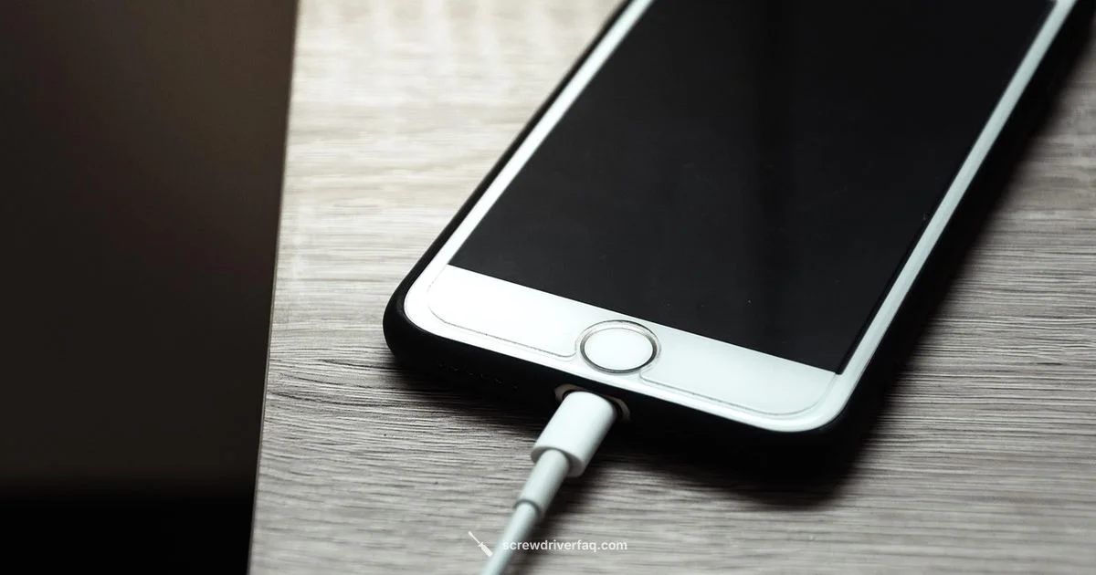 WORX Charging Guide WORX Charging Guide - Screwdriver FAQ