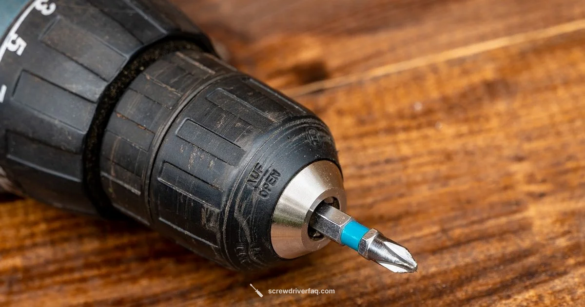Screwdriver Travel Guide - Screwdriver FAQ