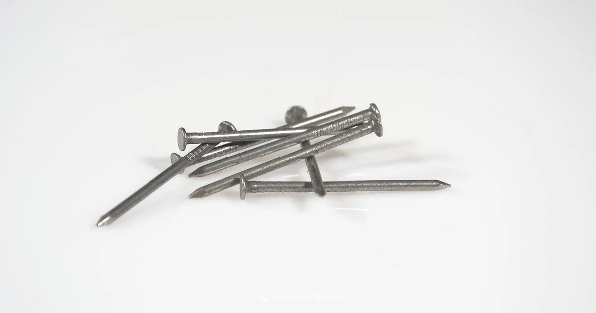 Screwdriver Nail Guide - Screwdriver FAQ