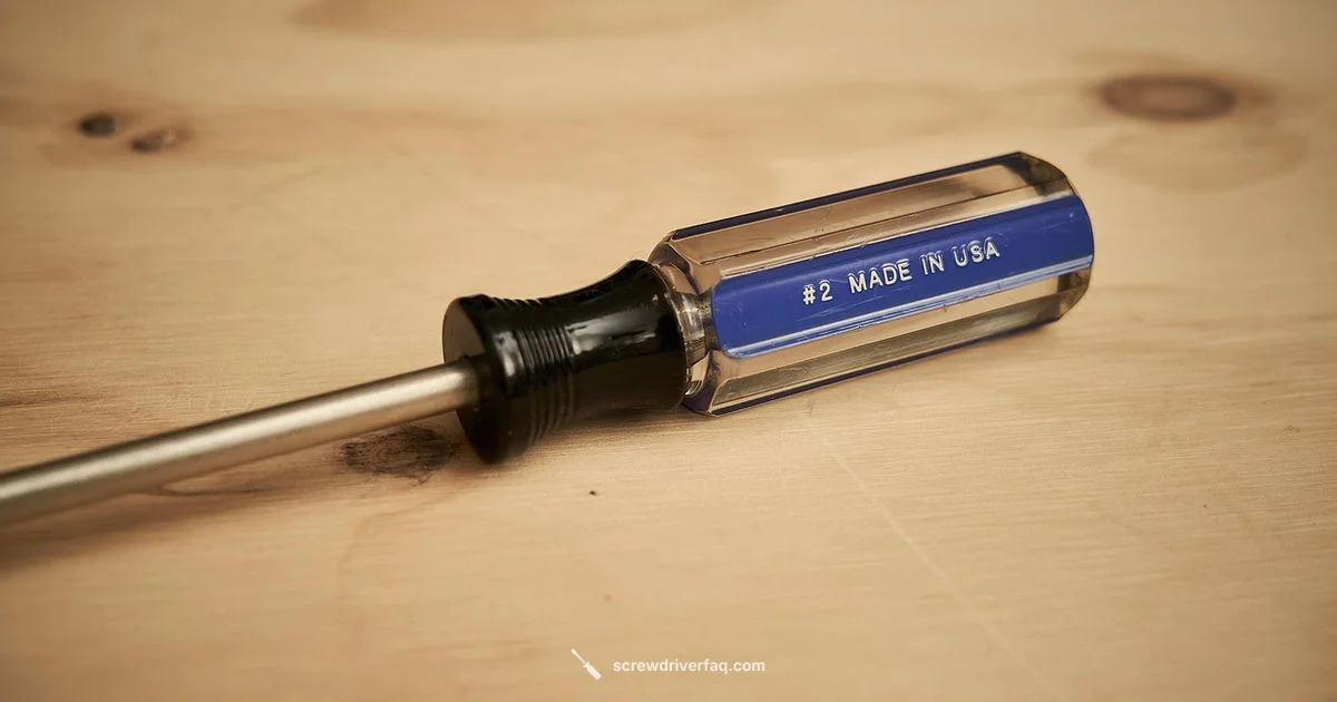 Is My Screwdriver Magnetic? - Screwdriver FAQ