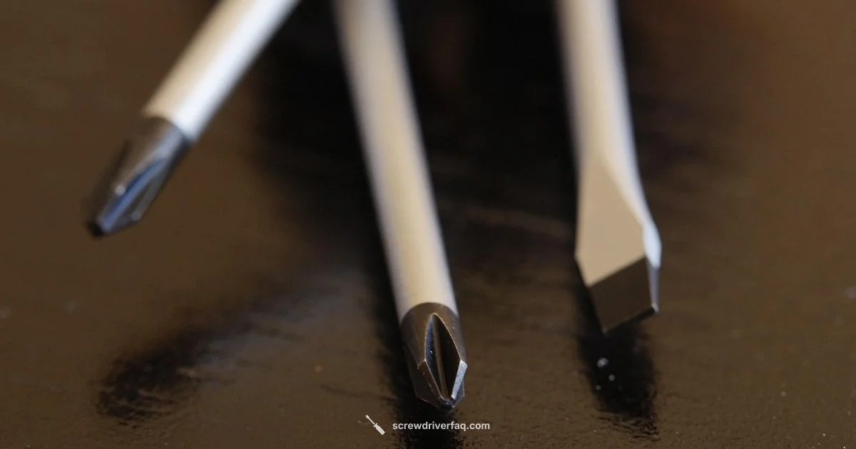 Screwdriver Basics Screwdriver Basics - Screwdriver FAQ