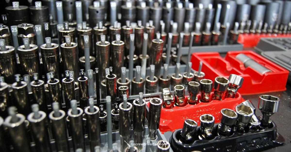 Screwdriver in Car Context - Screwdriver FAQ