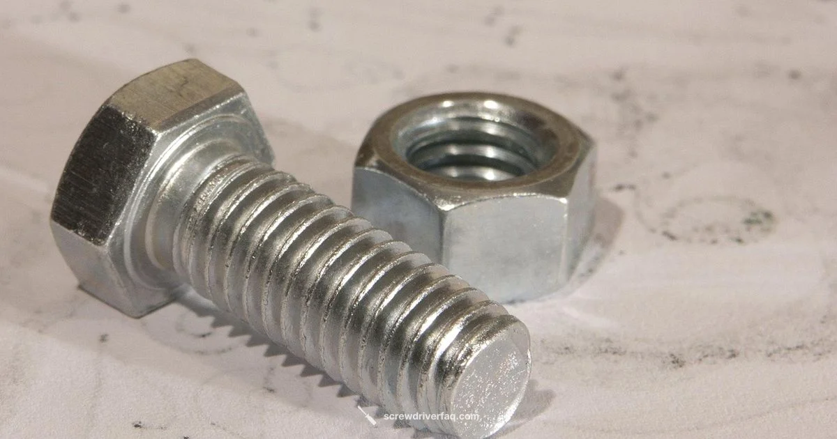 Hex Bit Guide - Screwdriver FAQ