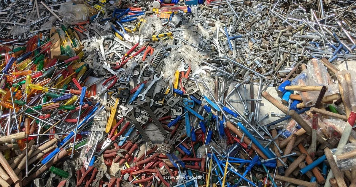 Phillips vs Regular - Screwdriver FAQ