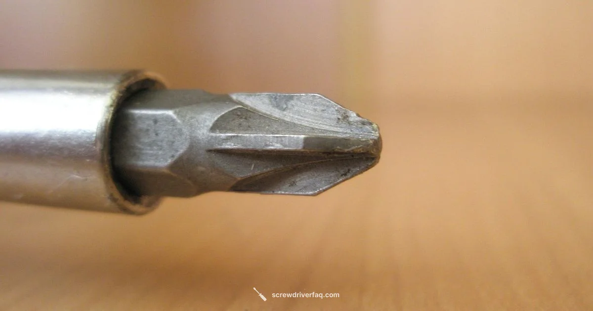 Top Picks Overview - Screwdriver FAQ