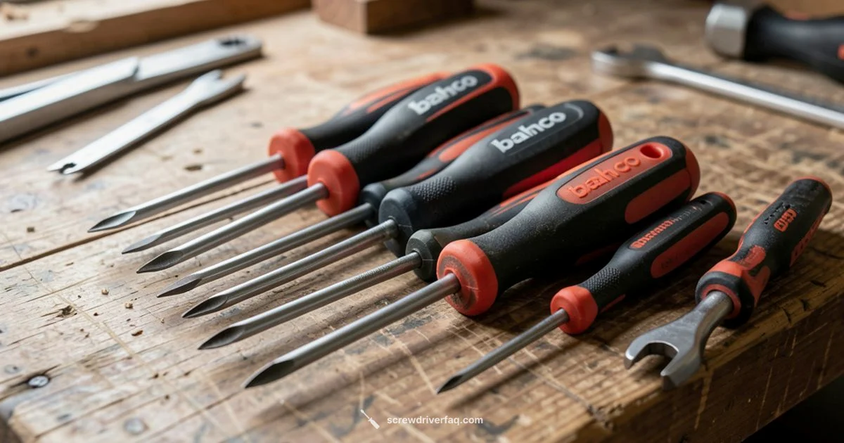 Bahco Insulated Set Review - Screwdriver FAQ