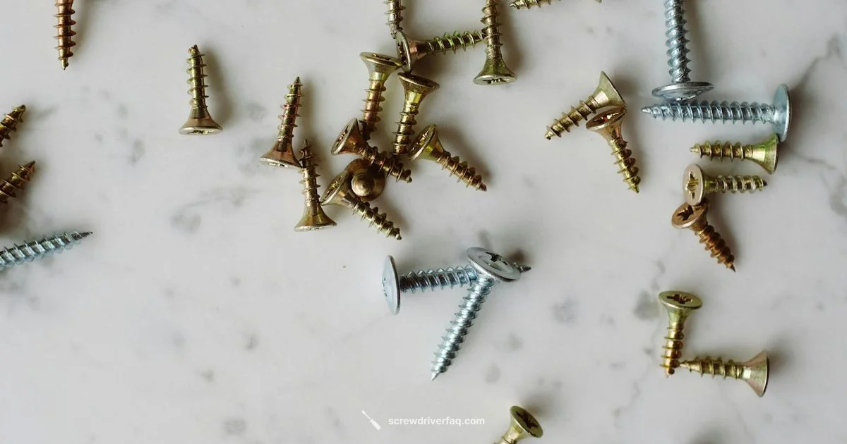 Robertson Bit Essentials - Screwdriver FAQ