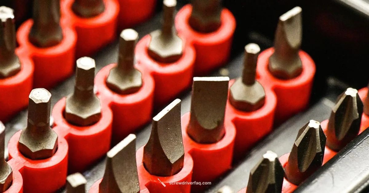 Magnetize Like a Pro - Screwdriver FAQ