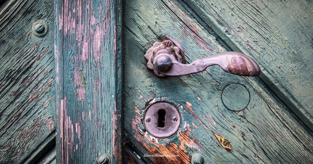 Door Knob Screwdriver Guide Door Knob Screwdriver Guide - Screwdriver FAQ