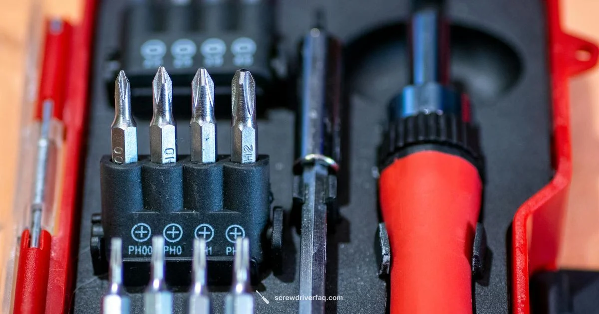 Interchangeable Heads - Screwdriver FAQ